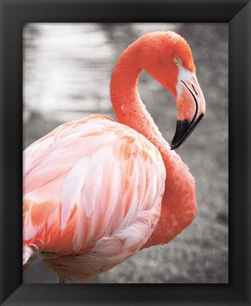 Framed Flamingo I on BW Print