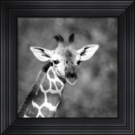 Framed Little Guy Print