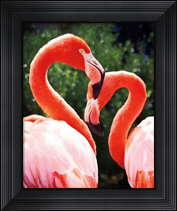 Framed Flamingo II Print