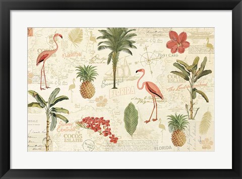 Framed Floridian VI Print