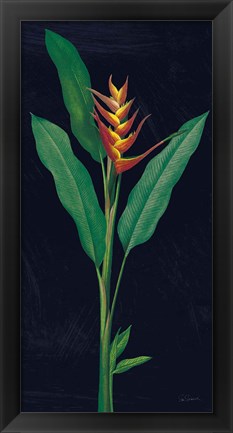 Framed Dramatic Tropical IV Print