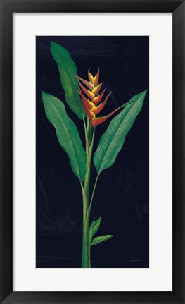 Framed Dramatic Tropical IV Print