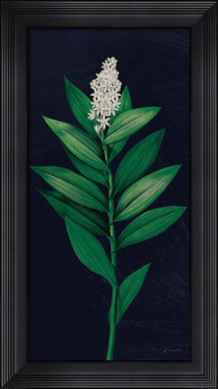 Framed Dramatic Tropical III Print