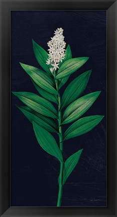 Framed Dramatic Tropical III Print