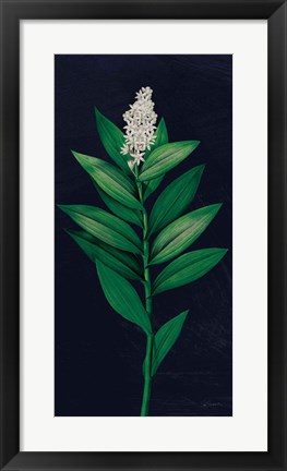 Framed Dramatic Tropical III Print