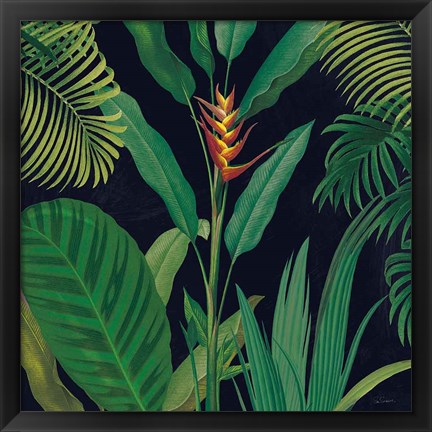 Framed Dramatic Tropical II Print