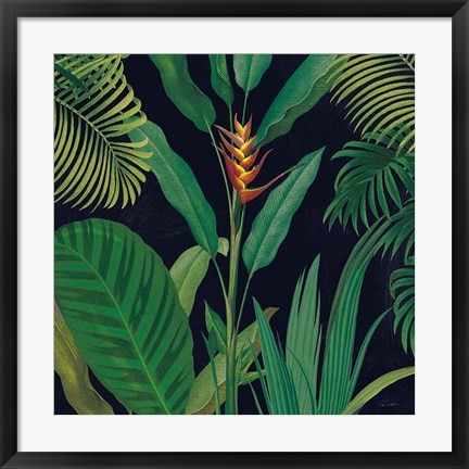 Framed Dramatic Tropical II Print