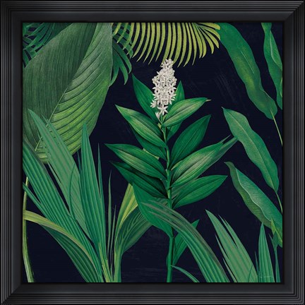 Framed Dramatic Tropical I Print