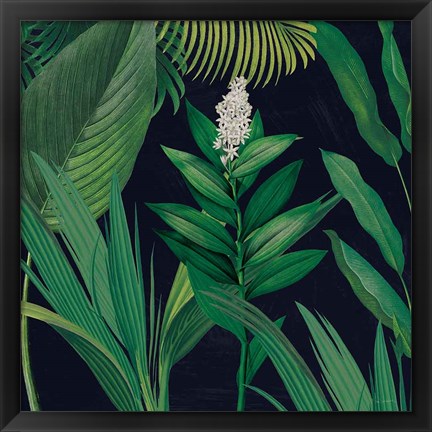 Framed Dramatic Tropical I Print