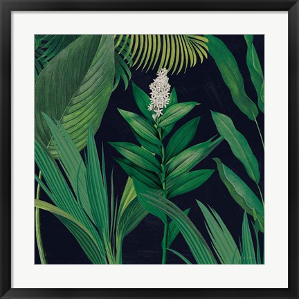 Framed Dramatic Tropical I Print