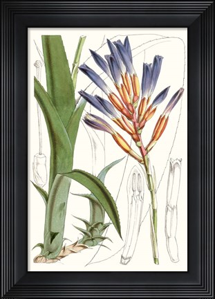 Framed Tropical Plants I Print