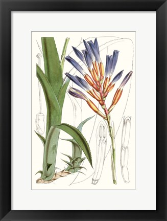 Framed Tropical Plants I Print