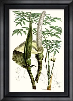 Framed Tropical Plants IV Print