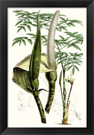 Framed Tropical Plants IV Print