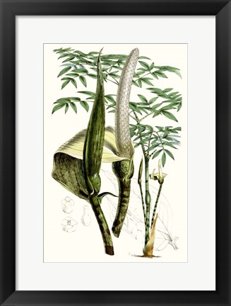 Framed Tropical Plants IV Print