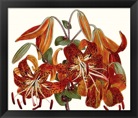 Framed Striking Coral Botanicals II Print