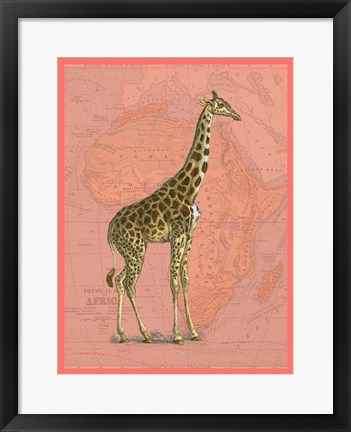 Framed African Animals on Coral I Print