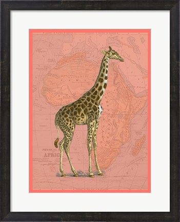 Framed African Animals on Coral I Print
