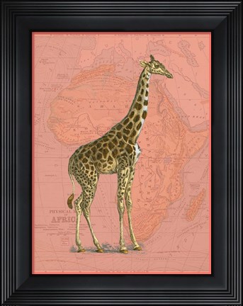 Framed African Animals on Coral I Print
