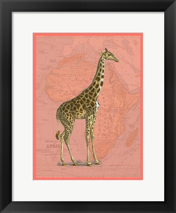 Framed African Animals on Coral I Print