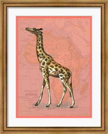 Framed African Animals on Coral II Print