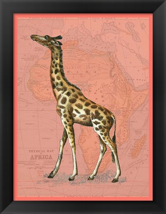 Framed African Animals on Coral II Print