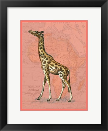 Framed African Animals on Coral II Print