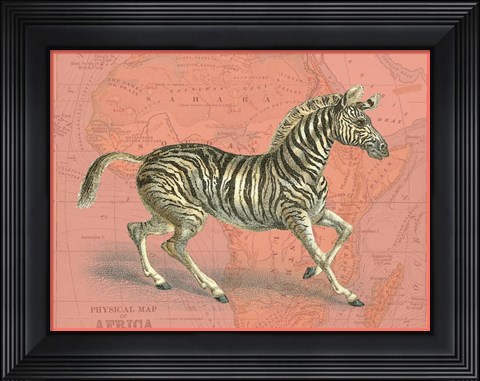Framed African Animals on Coral III Print