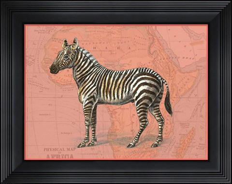Framed African Animals on Coral IV Print