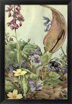 Framed Garden Fantasy II Print