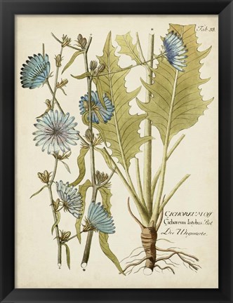 Framed Eloquent Botanical I Print