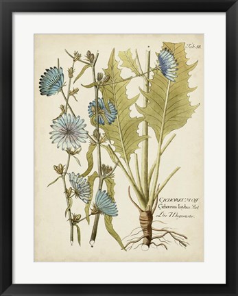 Framed Eloquent Botanical I Print