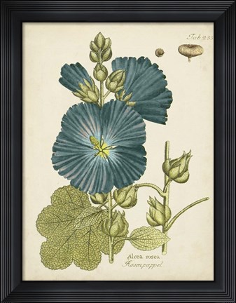 Framed Eloquent Botanical IV Print