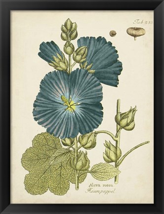 Framed Eloquent Botanical IV Print