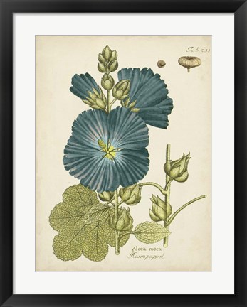 Framed Eloquent Botanical IV Print