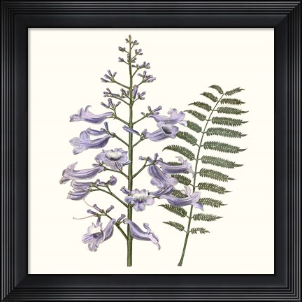 Framed Graceful Botanical III Print