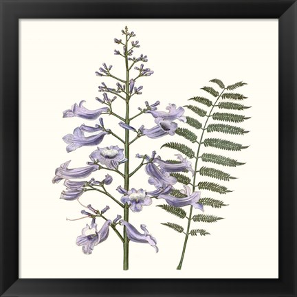 Framed Graceful Botanical III Print