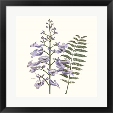 Framed Graceful Botanical III Print