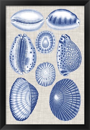 Framed Navy &amp; Linen Shells I Print