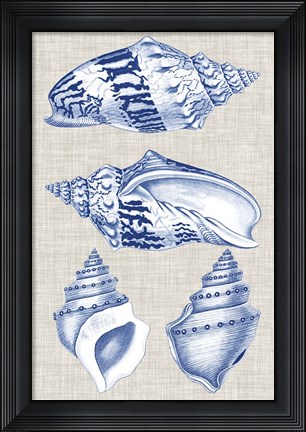 Framed Navy &amp; Linen Shells II Print