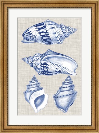 Framed Navy &amp; Linen Shells II Print