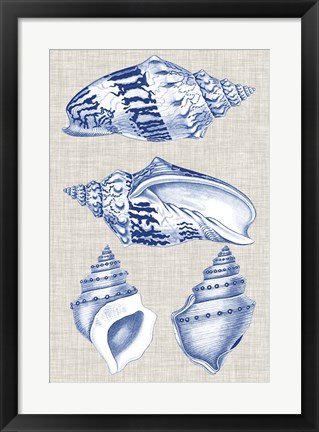 Framed Navy &amp; Linen Shells II Print