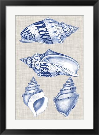 Framed Navy &amp; Linen Shells II Print