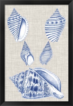 Framed Navy &amp; Linen Shells III Print