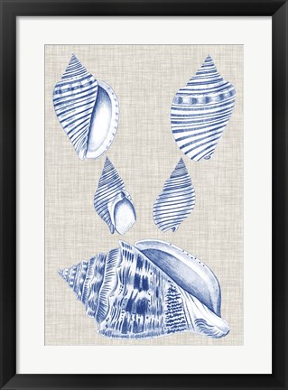 Framed Navy &amp; Linen Shells III Print