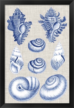 Framed Navy &amp; Linen Shells IV Print