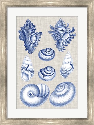 Framed Navy &amp; Linen Shells IV Print