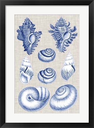 Framed Navy &amp; Linen Shells IV Print