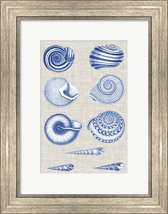 Framed Navy &amp; Linen Shells V Print