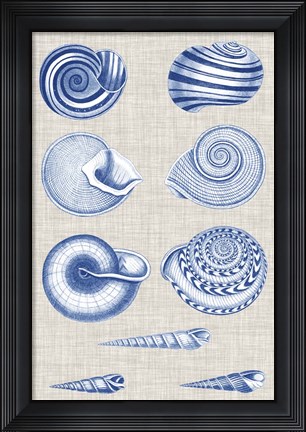 Framed Navy &amp; Linen Shells V Print
